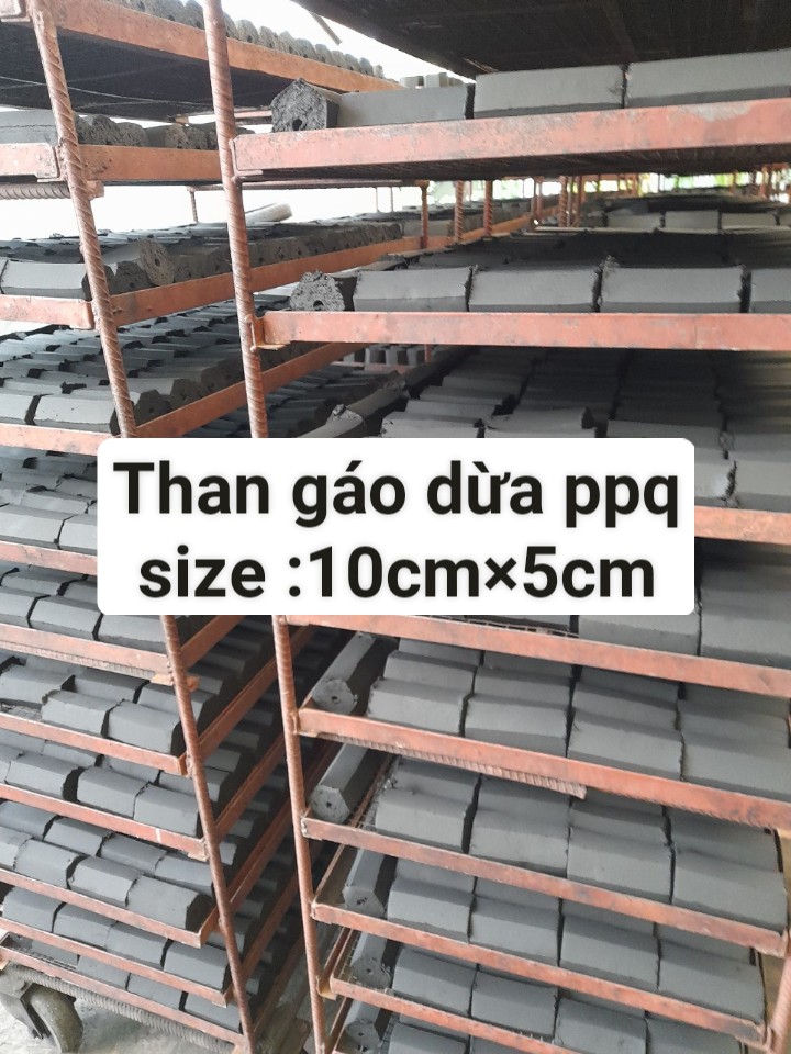 Than gáo dừa ppq size 10 cm * 5 cm