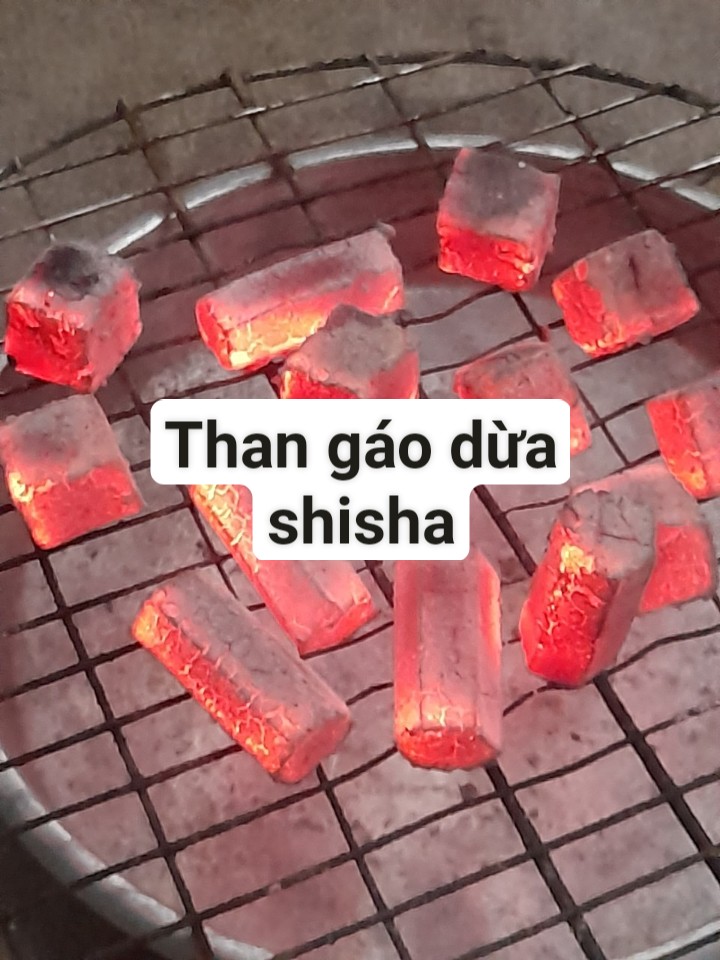 Than gáo dừa shisha
